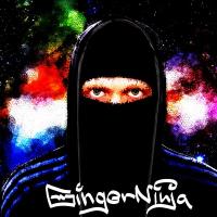 GingerNinja