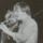 Thorleif Snyen foto Haugesunds Avis