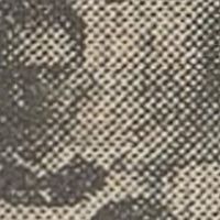 Alvin Lewis
