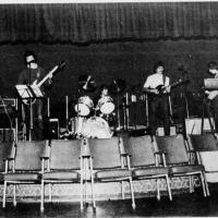 Van Zant foto Strandbuen