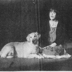 Lise Gjessen foto Stavanger Aftenblad/Leif Eide