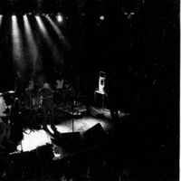 Garp Foto: Roar E. Jacobsen/Haugesunds avis