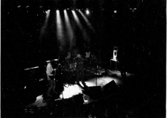 Garp Foto: Roar E. Jacobsen/Haugesunds avis