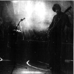 Gaupe foto: Alfred Aase/Haugesunds avis