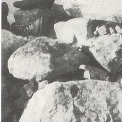 Leiv Isaksen foto hentet fra Leiv Isaksen og Maktå på Straen av Gerd Isaksen Balle