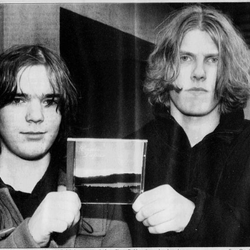 Medlemmer i Canis Lupus foto Dalane Tidene