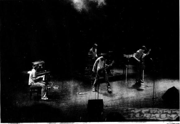 Oddball foto: Haugesunds avis