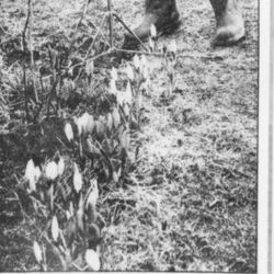 Andreas Leopold Knutsen foto: Haugesunds avis/Kjell Strand