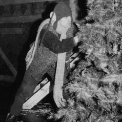 Forestillingen "Smånissene" foto Solabladet