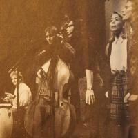 The Fruit and Fibre Octet 1993 Foto: Harald Nordbakke