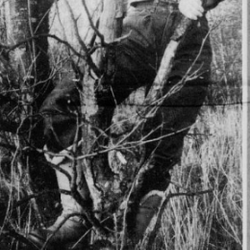 Nina Askeland foto Bjarne bringeland/Rogalands avis