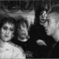 Vetel foto Rogalands Avis/Roy Storvik