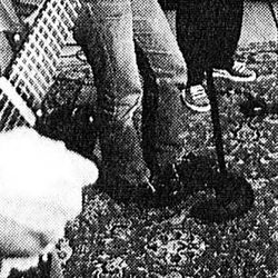 klipp fra Stavanger Aftenblad