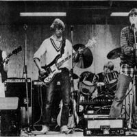 Freebird foto: Haugesunds avis/Eirik Østberg