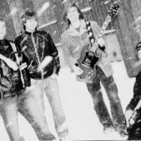 The Lishes foto Strandbuen