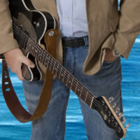 Hans Borg bildet hentet fra annonse