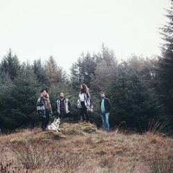 Firewoodisland i skogene ved Åkra,Foto: Anders Vinje