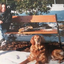 Tom Mølstre bildet tilhører Helgi Frøyland