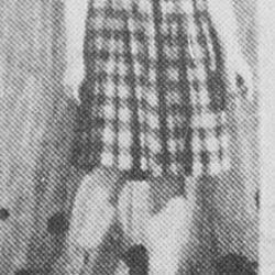 Anne Cath Vestly (?) i Smil over byen foto Rogalands Avis