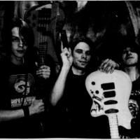 Hush Puppies foto: Tove Marie Sortland /Haugesunds Avis