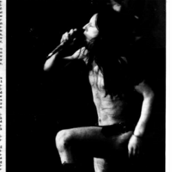 Bikkjaa foto Haugesunds Avis