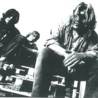 Remedy foto: rogalands Avis