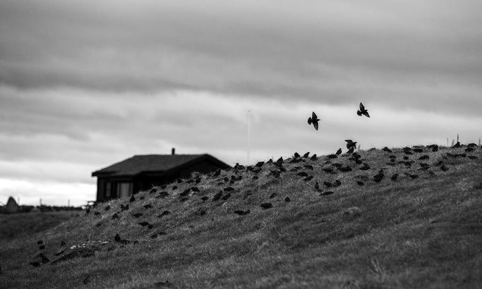 Foto: Anne Helen Robberstad