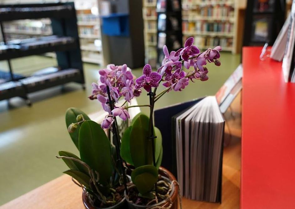 Bøker og bokhyller fra Finnøy bibliotek.