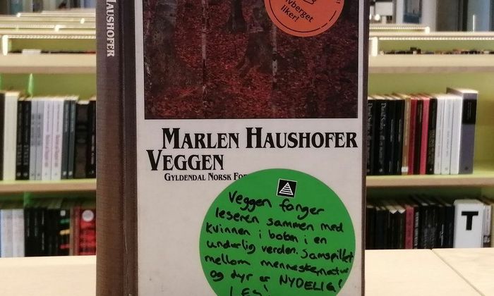 Boka Veggen av Marlen Haushofer