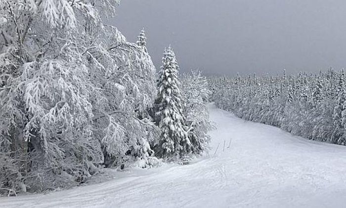 Vinterlandskap med snø