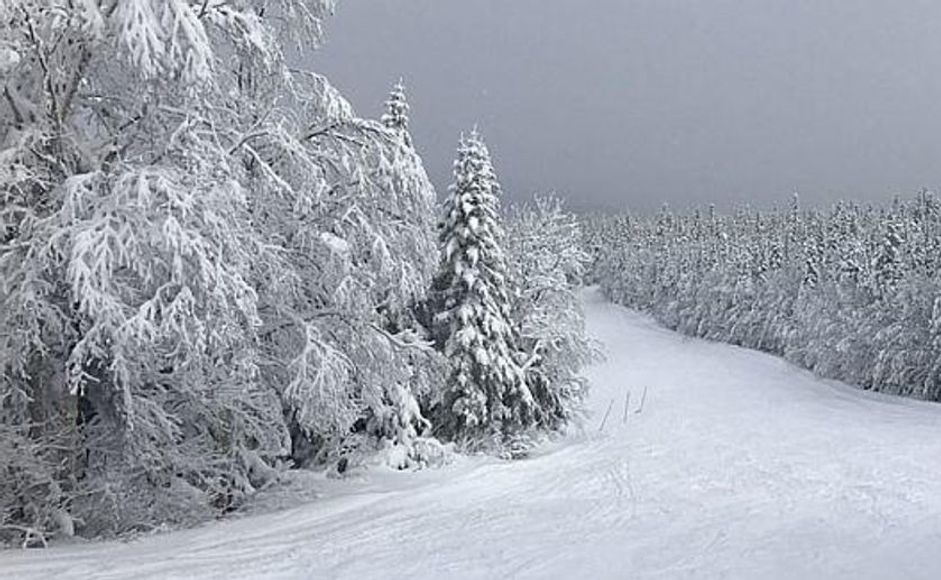 Vinterlandskap med snø