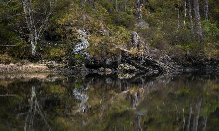 Foto: Anne Helen Robberstad