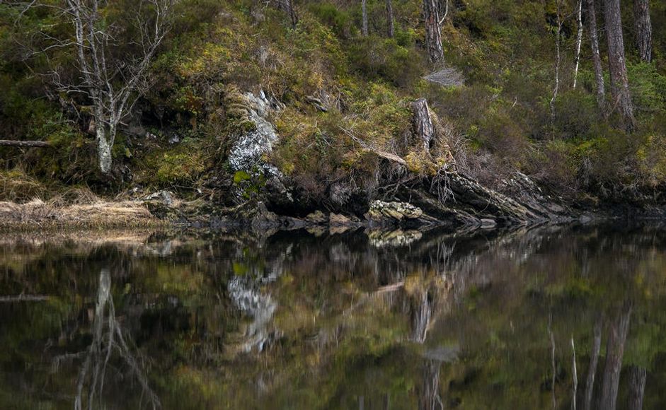 Foto: Anne Helen Robberstad