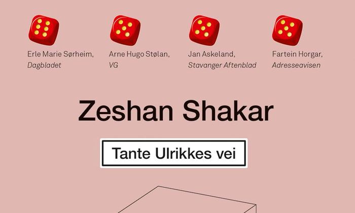 Tante Ulrikkes vei av Zeshan Shakar
