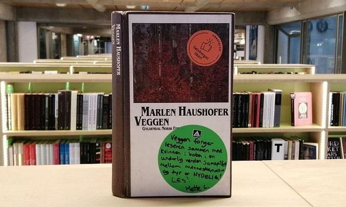 Boka Veggen av Marlen Haushofer stående på bokhylle i bibliotek