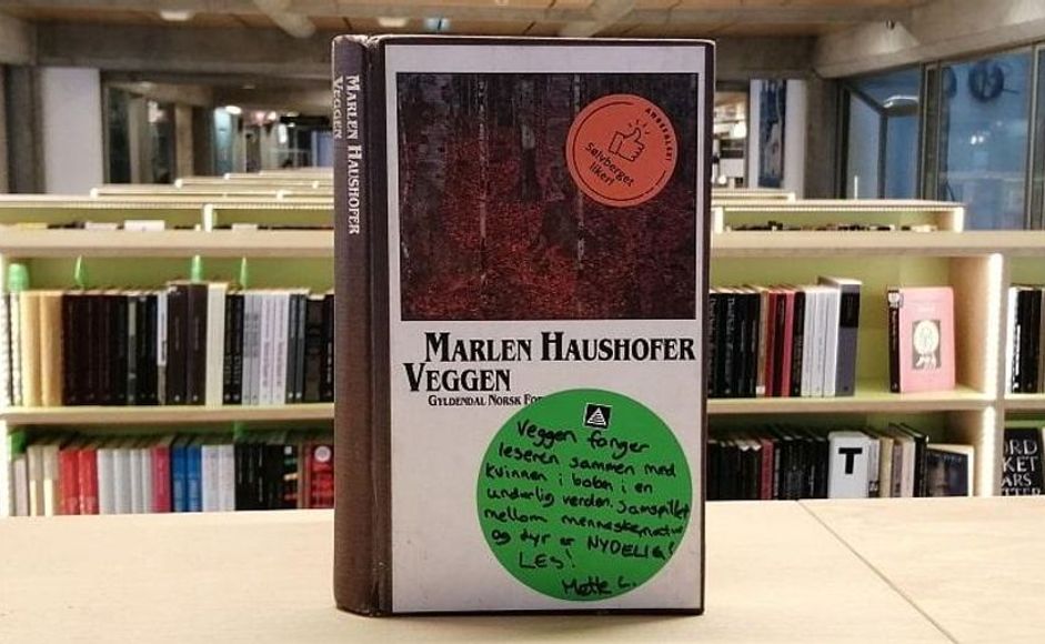 Boka Veggen av Marlen Haushofer stående på bokhylle i bibliotek