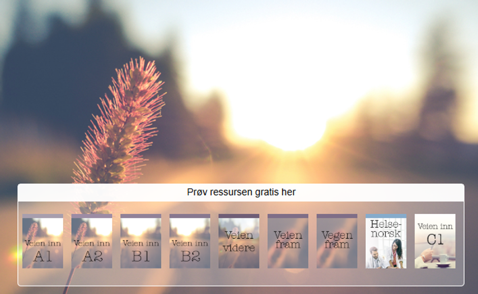 Viser nettressursene Veien inn fra a1-c1