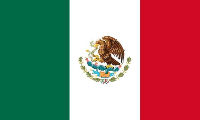 Mexico flag