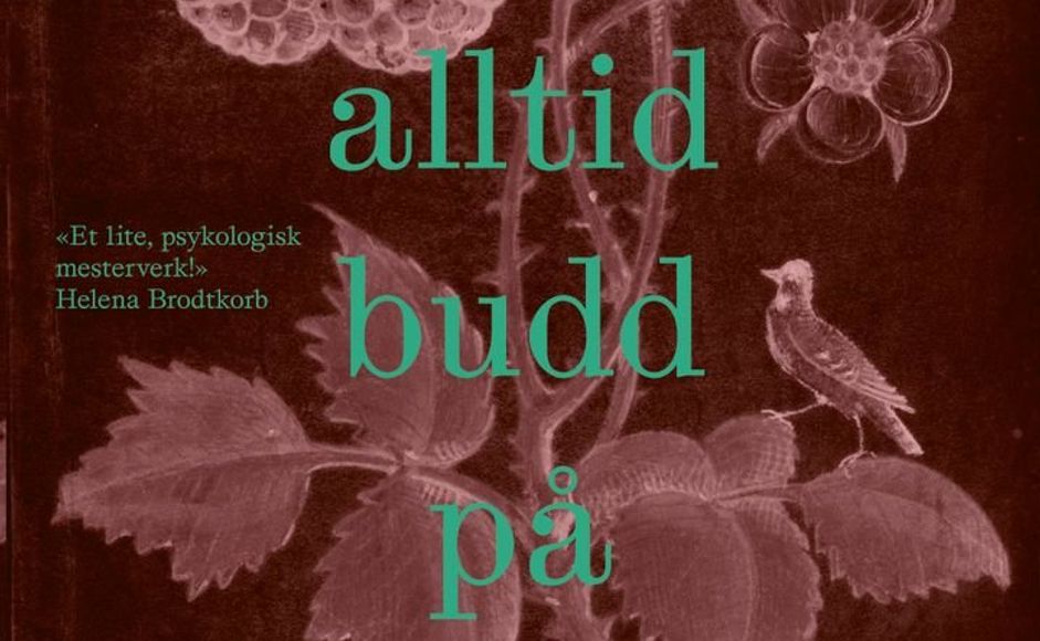 Bilde frå framsida til Vi har alltid budd på slottet av Shirley Jackson