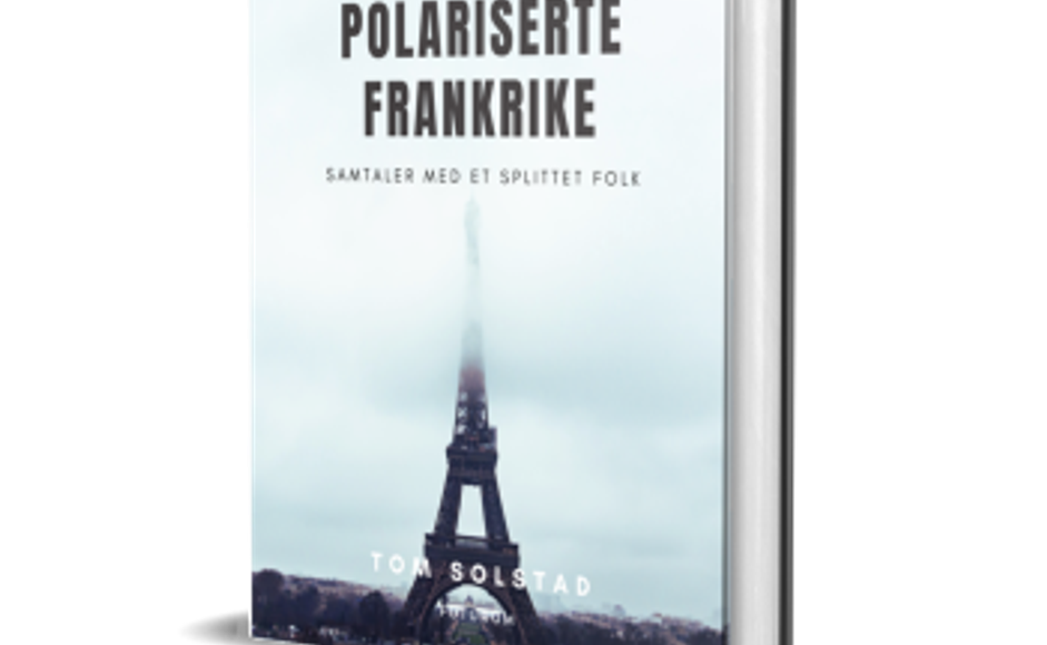 Det polariserte Frankrike av Tom Solstad forside