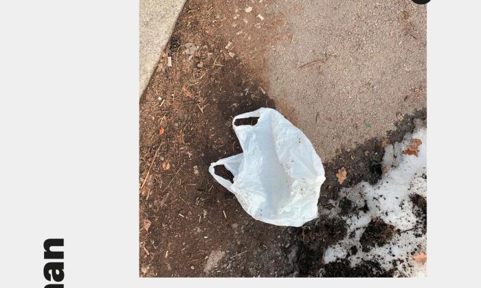 Emily forever av Maria Navarro Skaranger bokforside