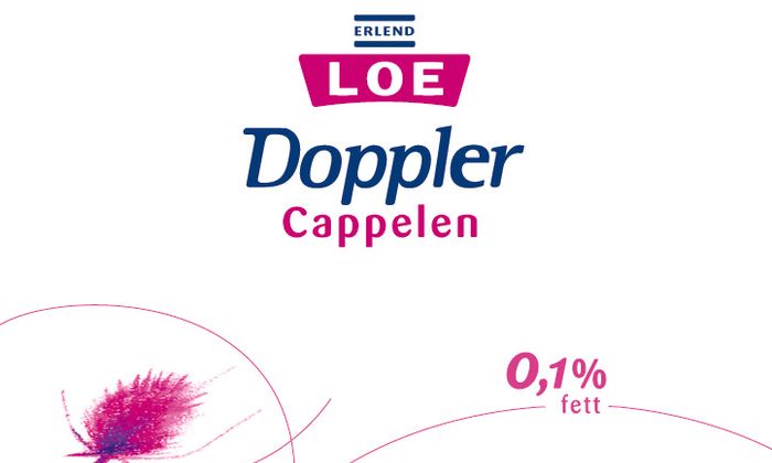 Doppler av Erlend Loe