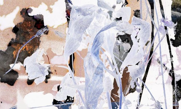 Helene Espedal-Selvåg og Kristin Velle-George: Landskaping. Utstilling i Sølvberget galleri