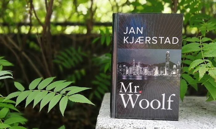 Boka Mr. Woolf av Jan Kjærstad stående på en stein i skogen