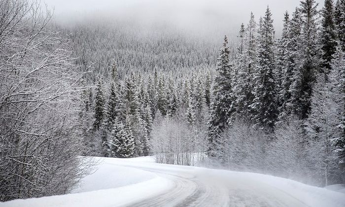 Vinterlandskap med snø