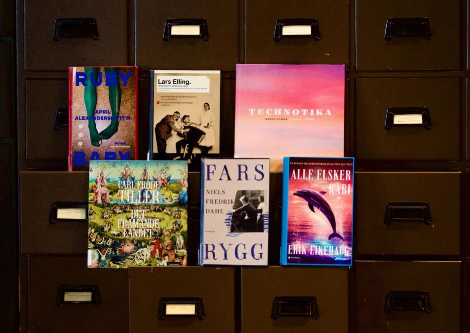 Bilde av bøkene som er nominert til Bibliotekets litteraturpris
