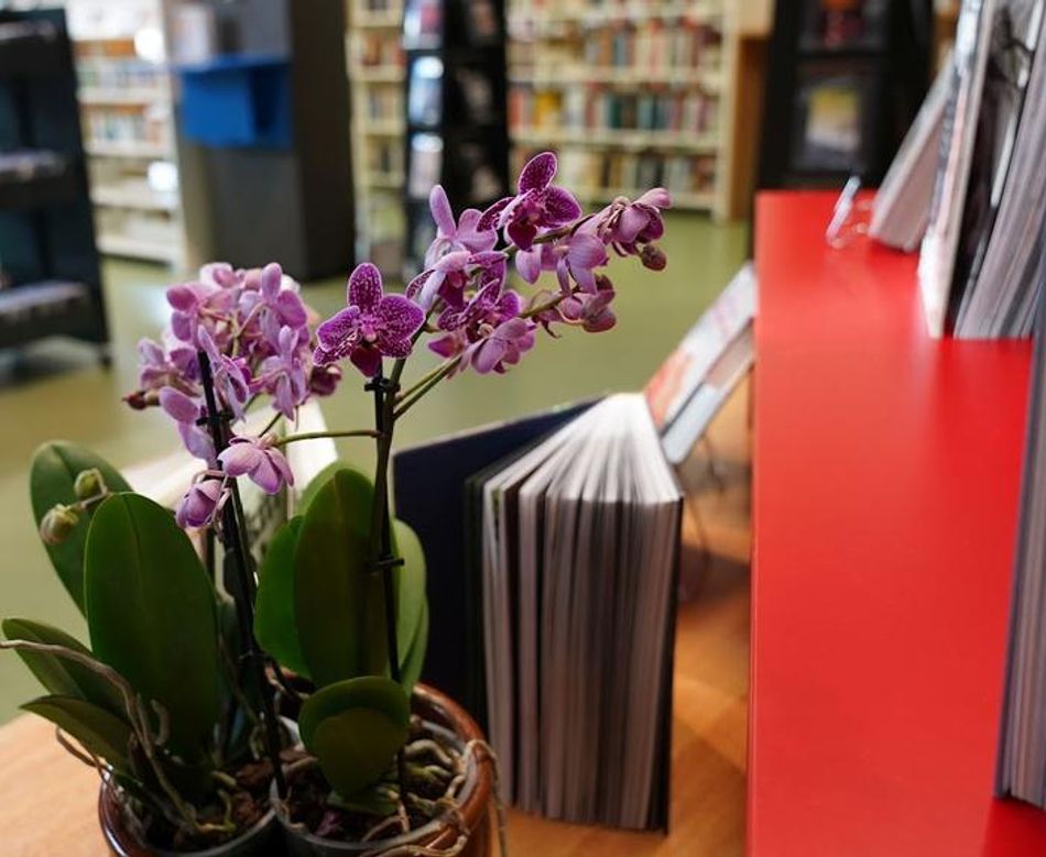 Bøker og bokhyller fra Finnøy bibliotek.