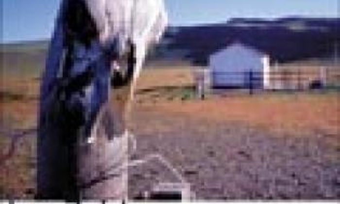 Sommerfugleffekter av Jan Zahl