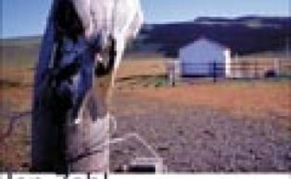 Sommerfugleffekter av Jan Zahl