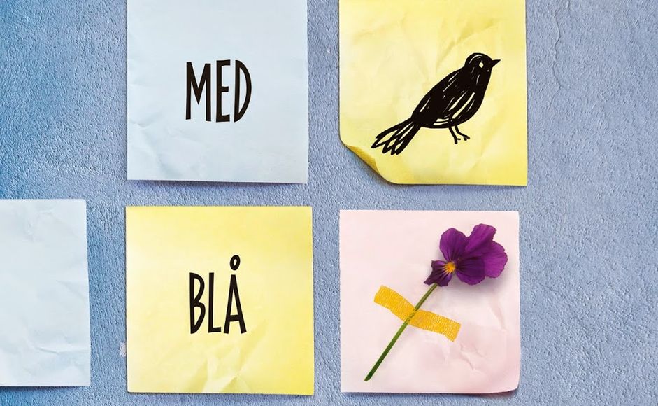 Dager med blå himmel av Jennifer Niven forside